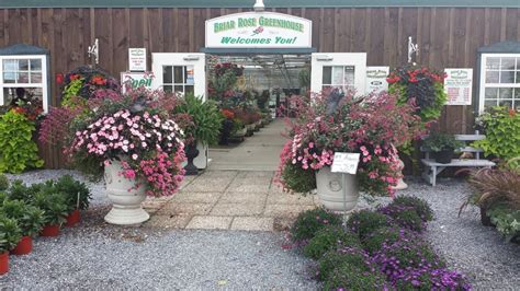 Briar rose greenhouse photos. Things To Know About Briar rose greenhouse photos. 